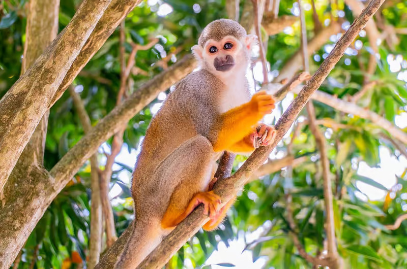 Nature and wildlife excursions in Punta Cana